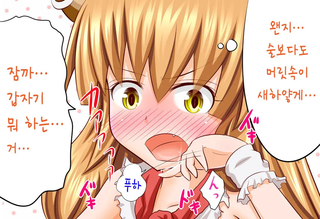 Suika Route | 스이카 루트